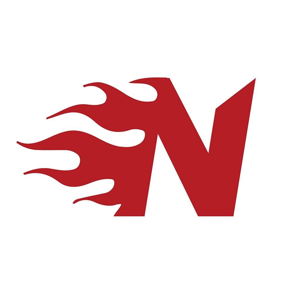 Nikola Toy Logo
